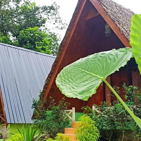 Green Forest Tangkahan 외부 사진