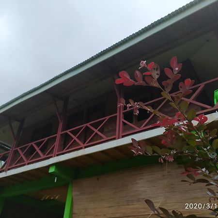 Green Forest Tangkahan 객실 사진