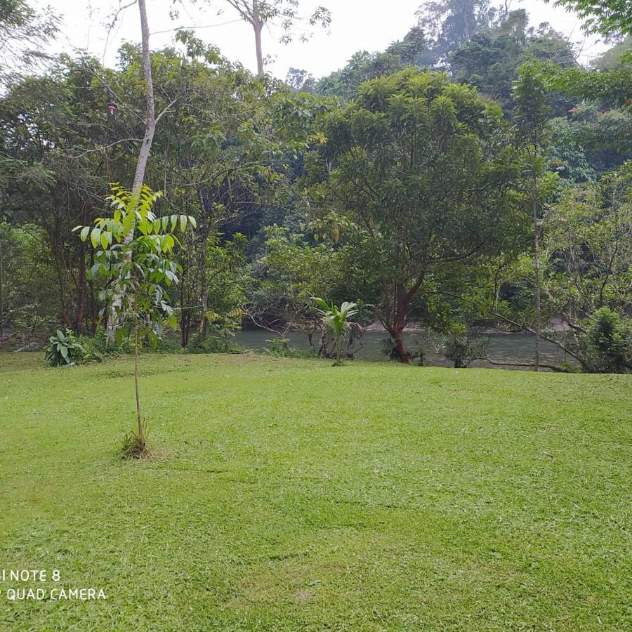 Green Forest Tangkahan 외부 사진