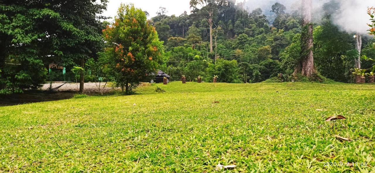 Green Forest Tangkahan 외부 사진