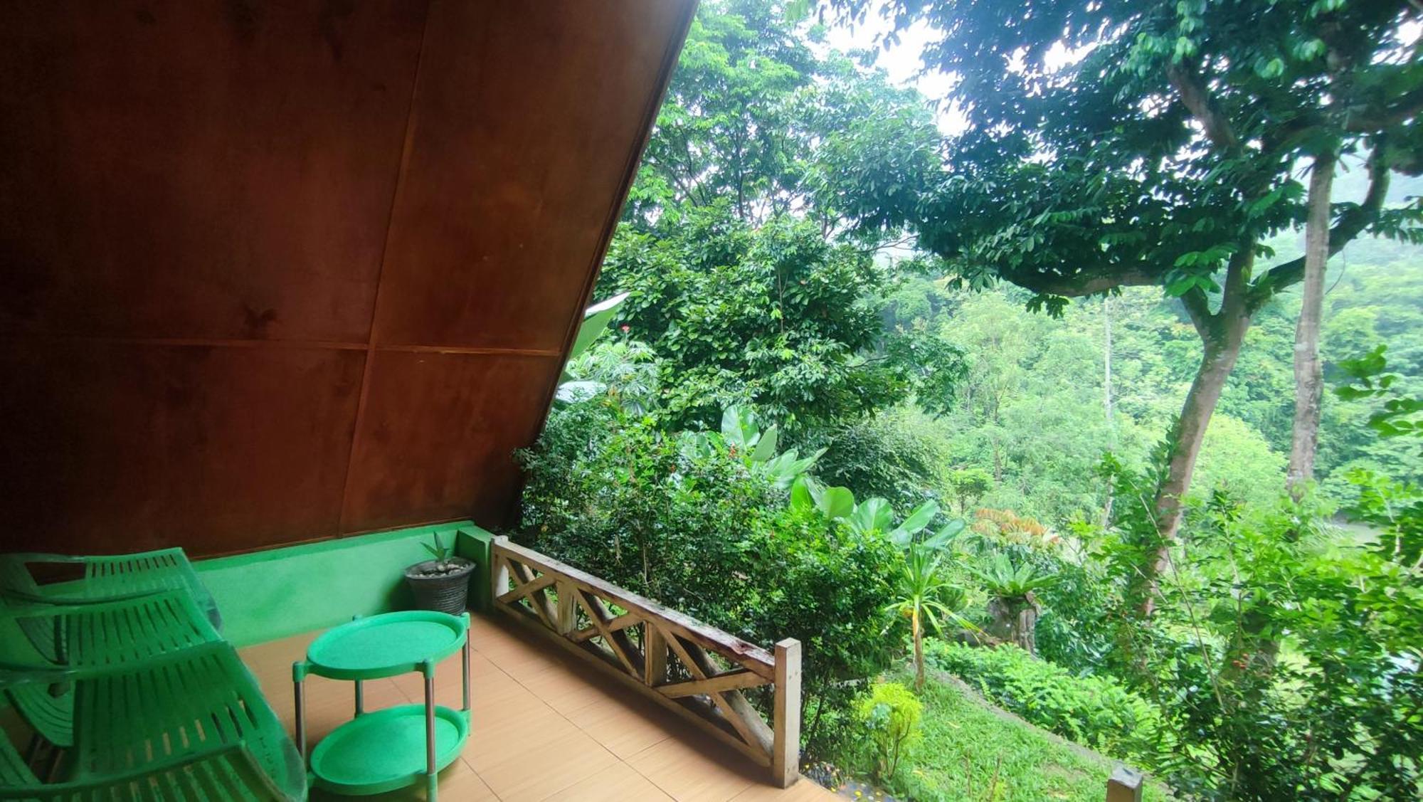 Green Forest Tangkahan 객실 사진