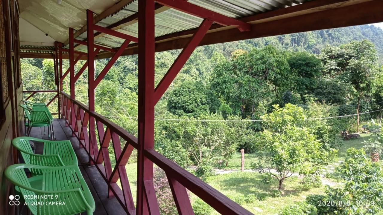 Green Forest Tangkahan 객실 사진