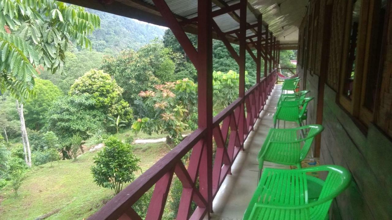 Green Forest Tangkahan 외부 사진
