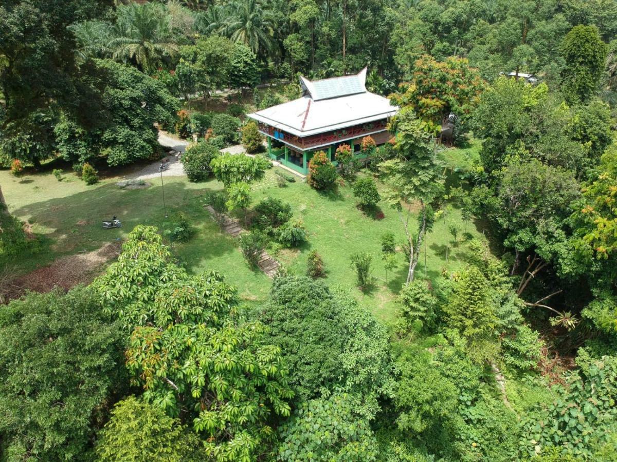Green Forest Tangkahan 외부 사진