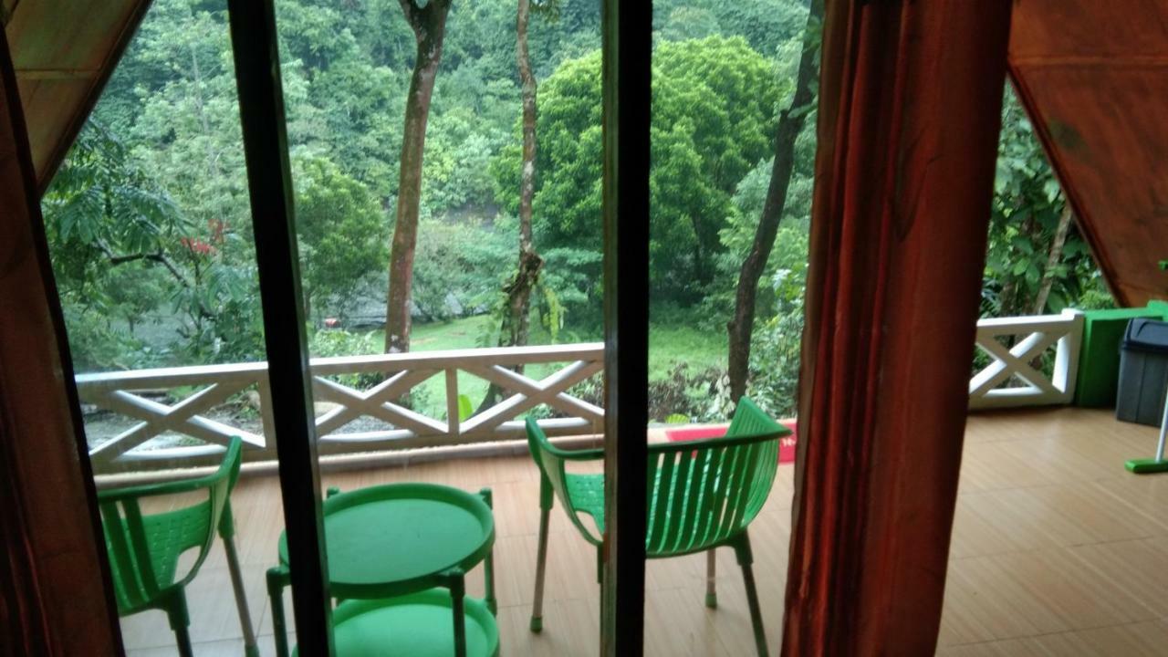 Green Forest Tangkahan 외부 사진