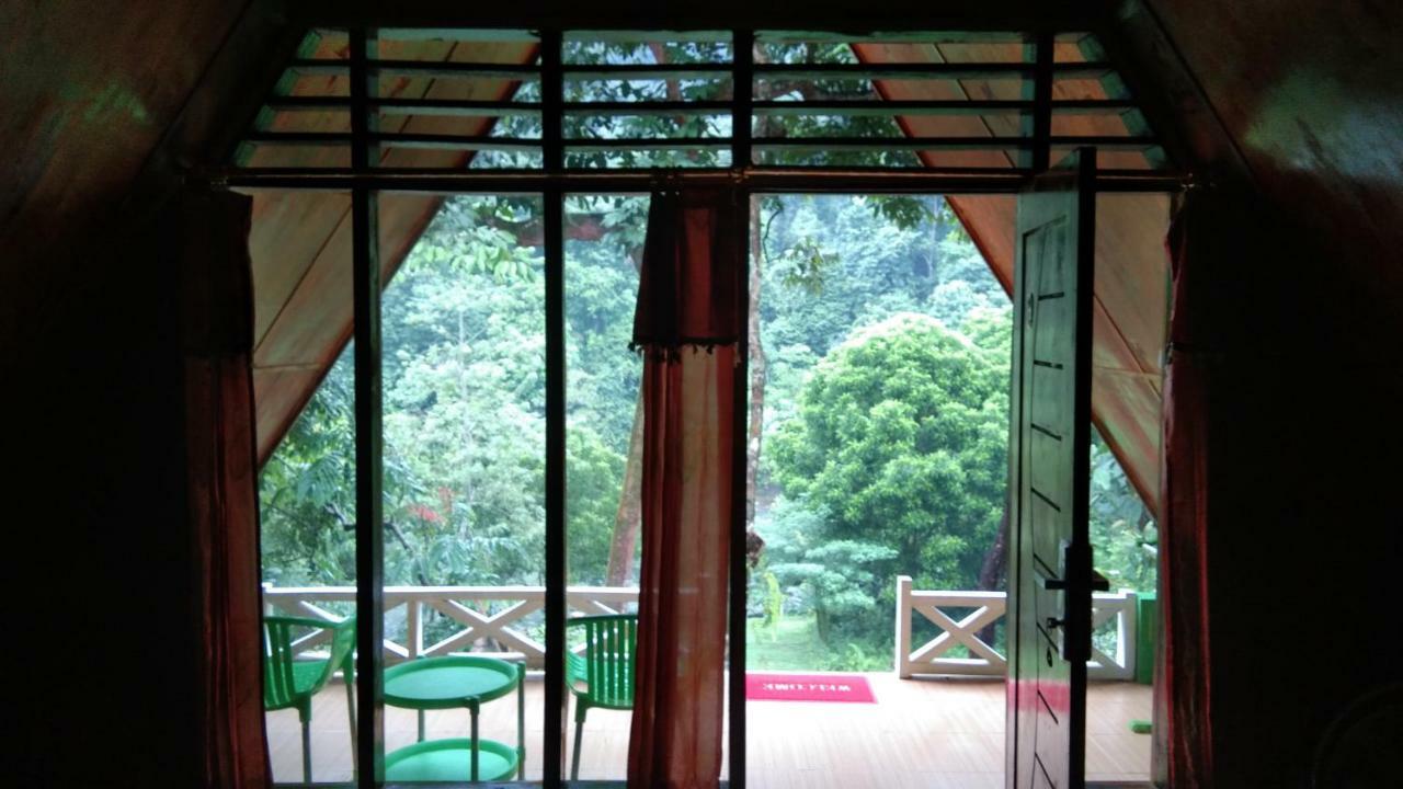 Green Forest Tangkahan 외부 사진