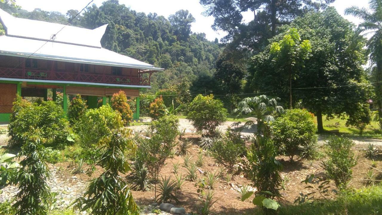 Green Forest Tangkahan 외부 사진
