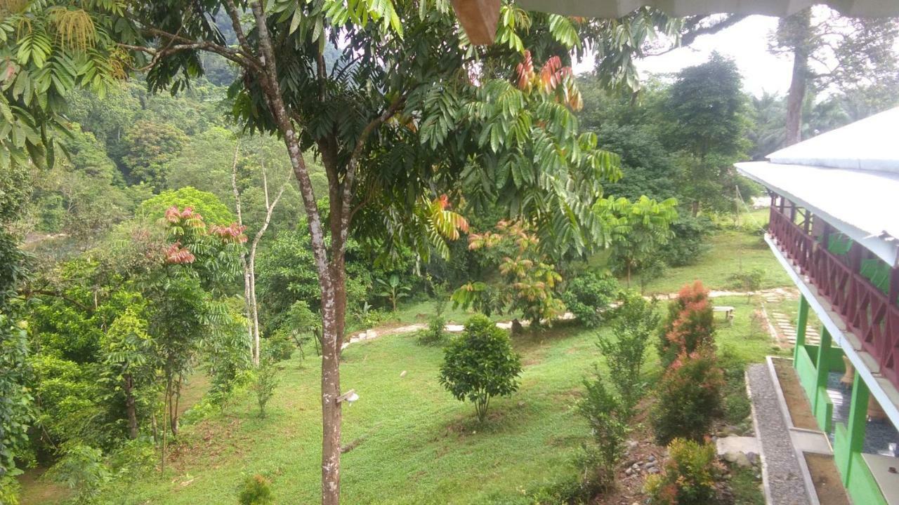 Green Forest Tangkahan 외부 사진