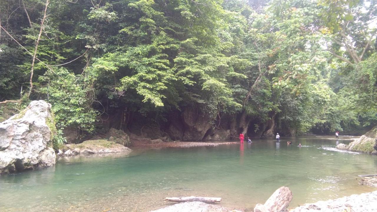 Green Forest Tangkahan 외부 사진